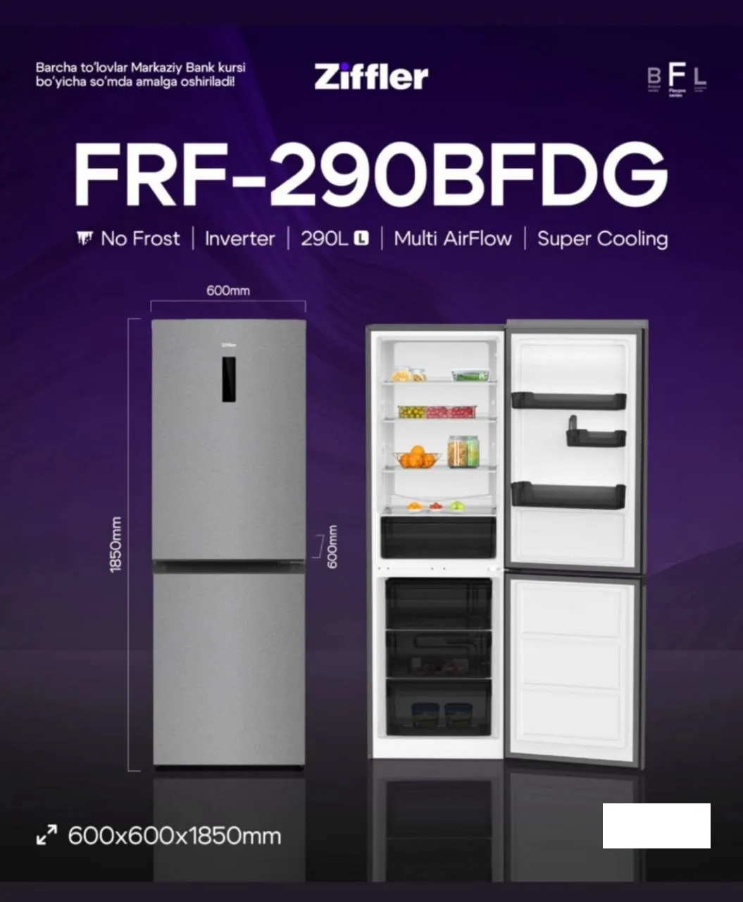 Muzlatgich Ziffler FRF-290BFDG, kulrang
