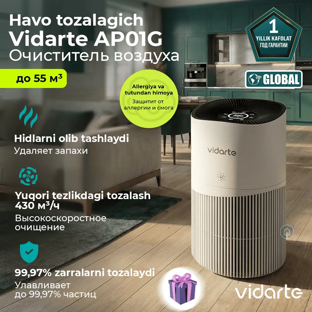 Havo tozalagich Vidarte AP01G, oq